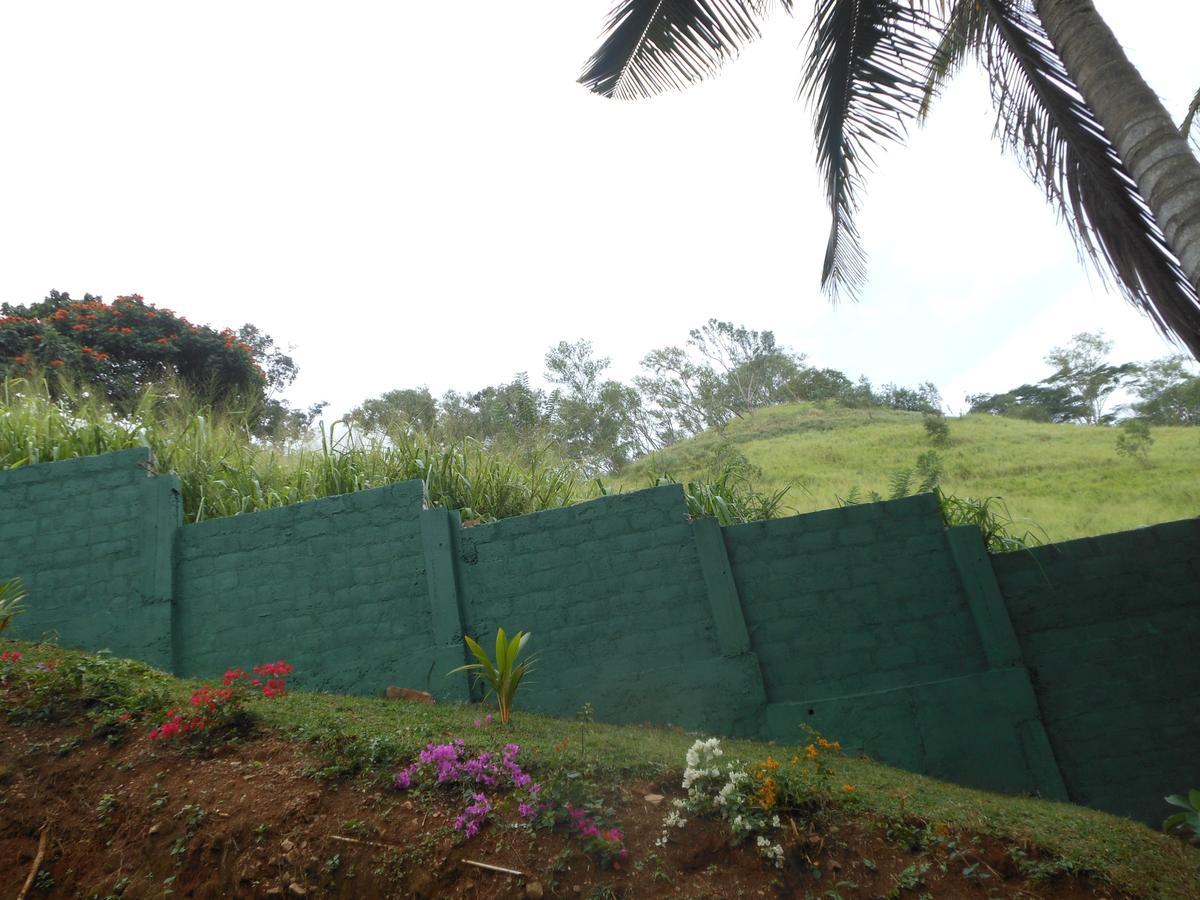 Lavender Hills Home Stay Kandy Exteriör bild