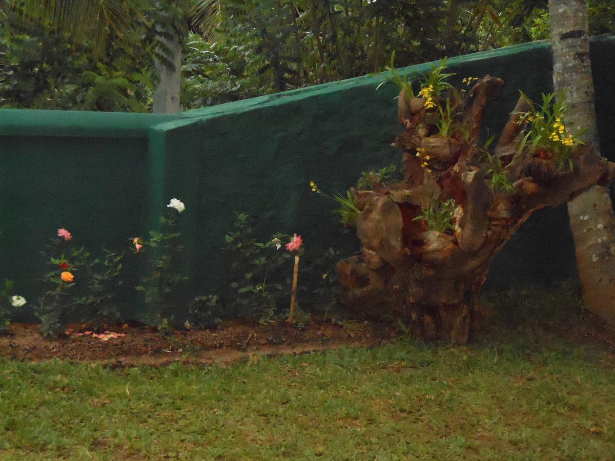Lavender Hills Home Stay Kandy Exteriör bild